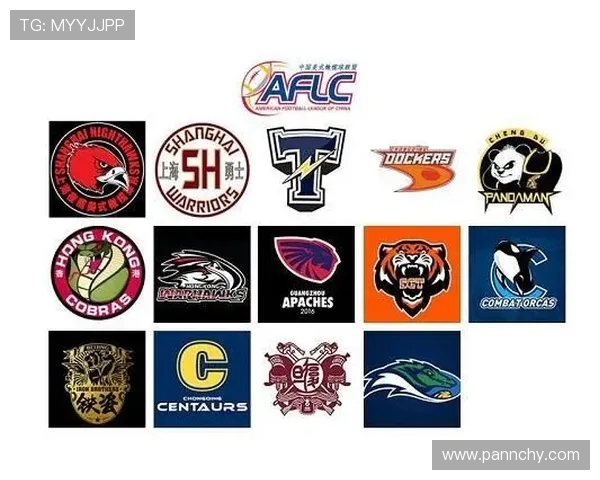 CBA足球联赛推荐表格：最新CBA足球联赛推荐及数据分析