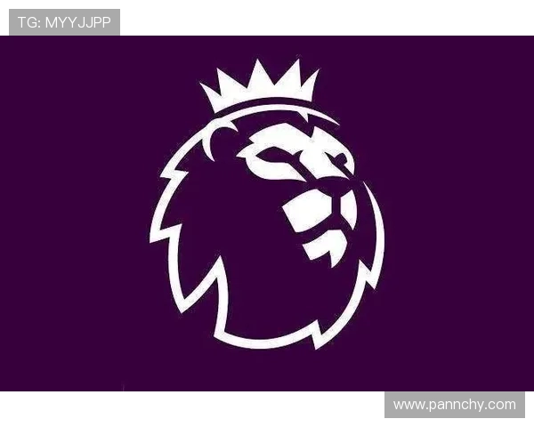 紫色英超球衣款式及其独特设计亮点